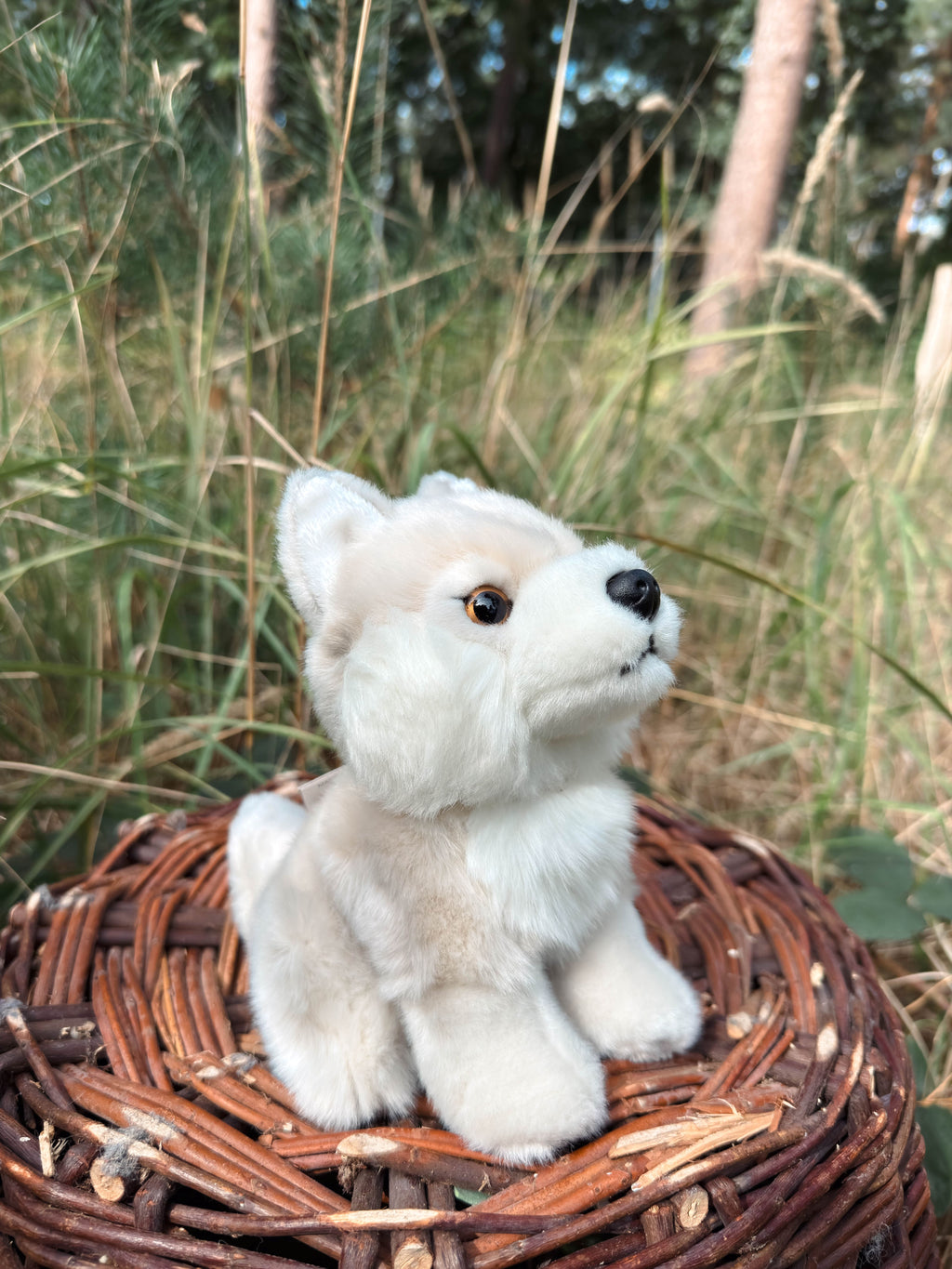 Der weiße Wolf 20cm sitzend, der Herzen erobert