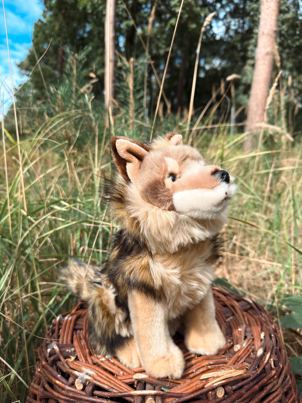 Der braune Wolf 29cm sitzend, der Herzen erobert