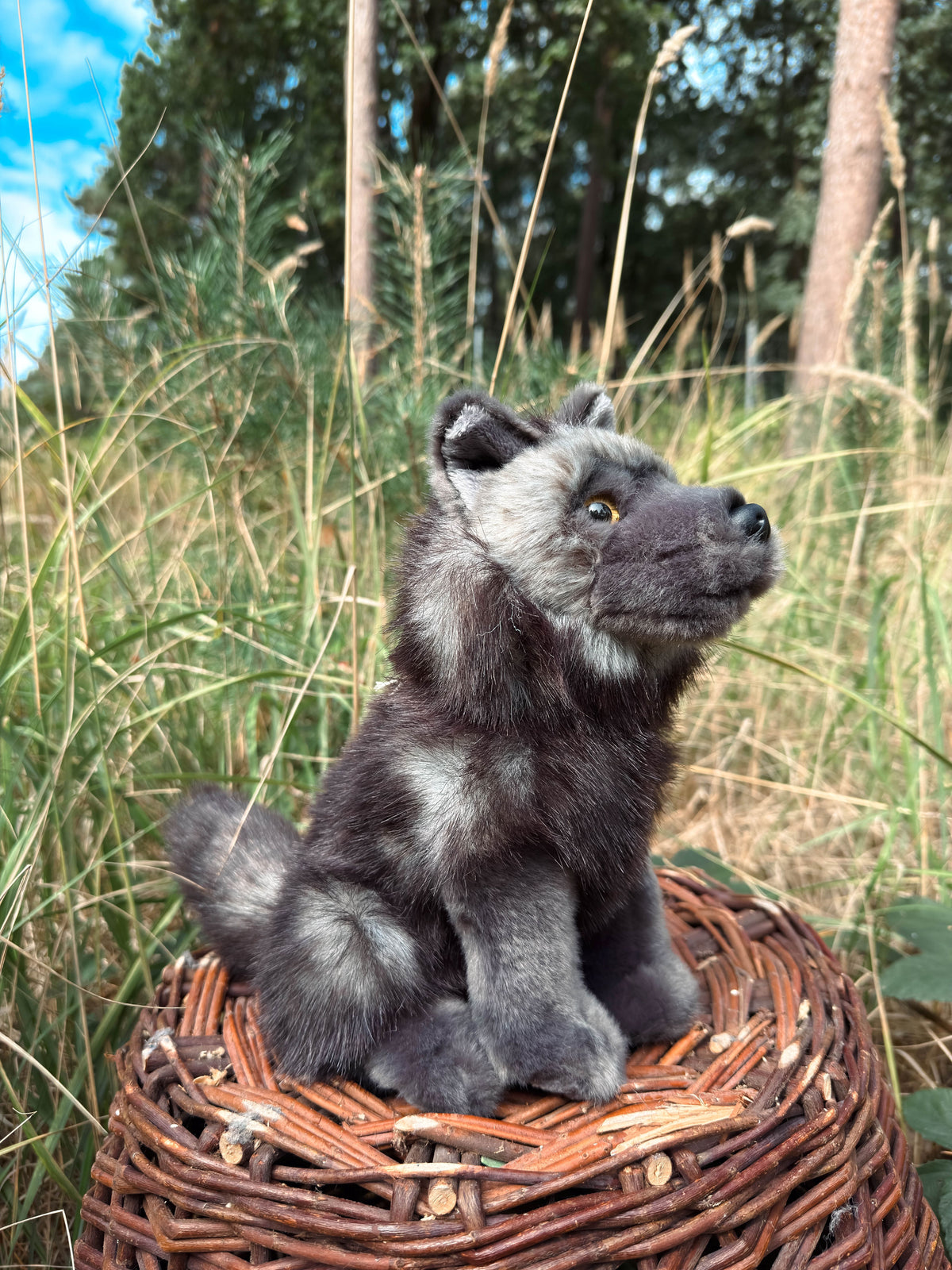 Der schwarze Wolf 29cm sitzend, der Herzen erobert