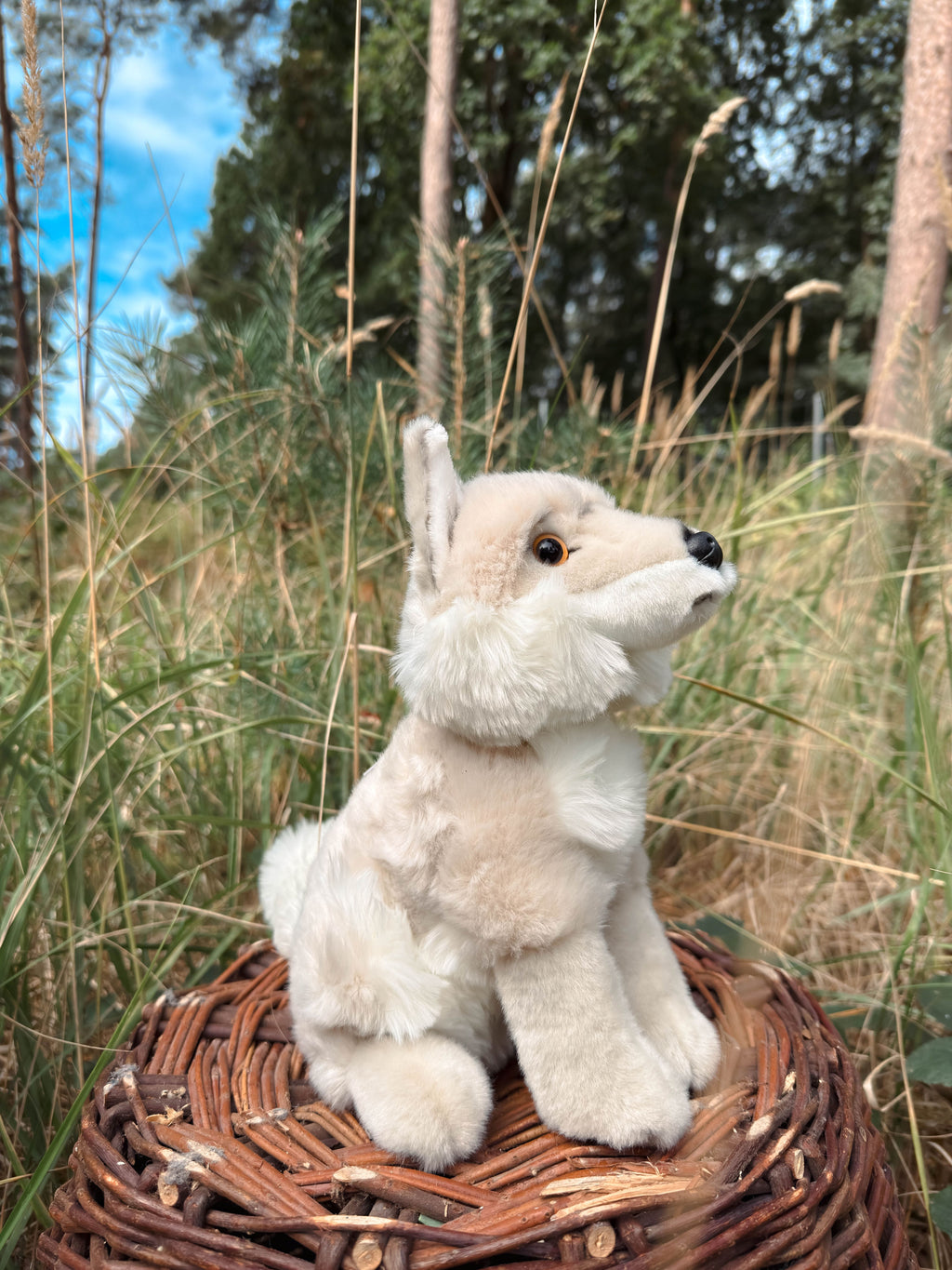 Der weiße Wolf 29cm sitzend, der Herzen erobert