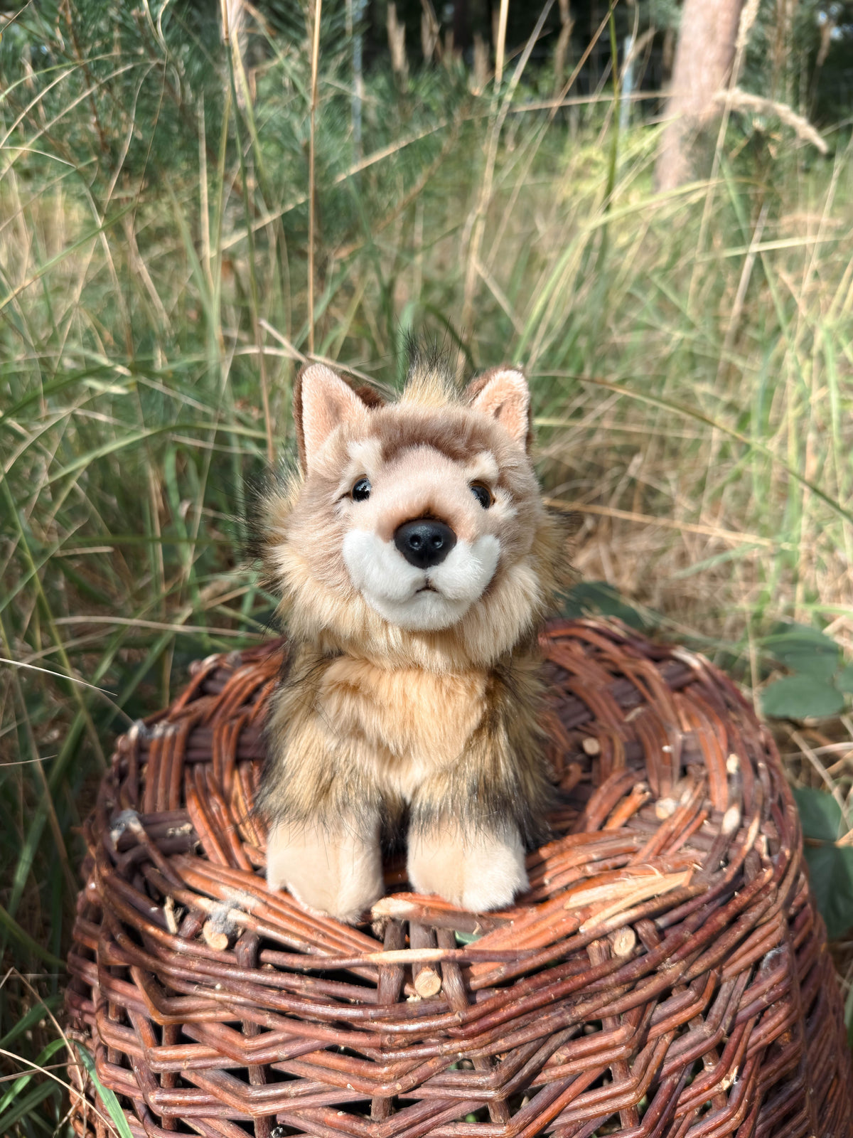 Der braune Wolf 20cm sitzend, der Herzen erobert