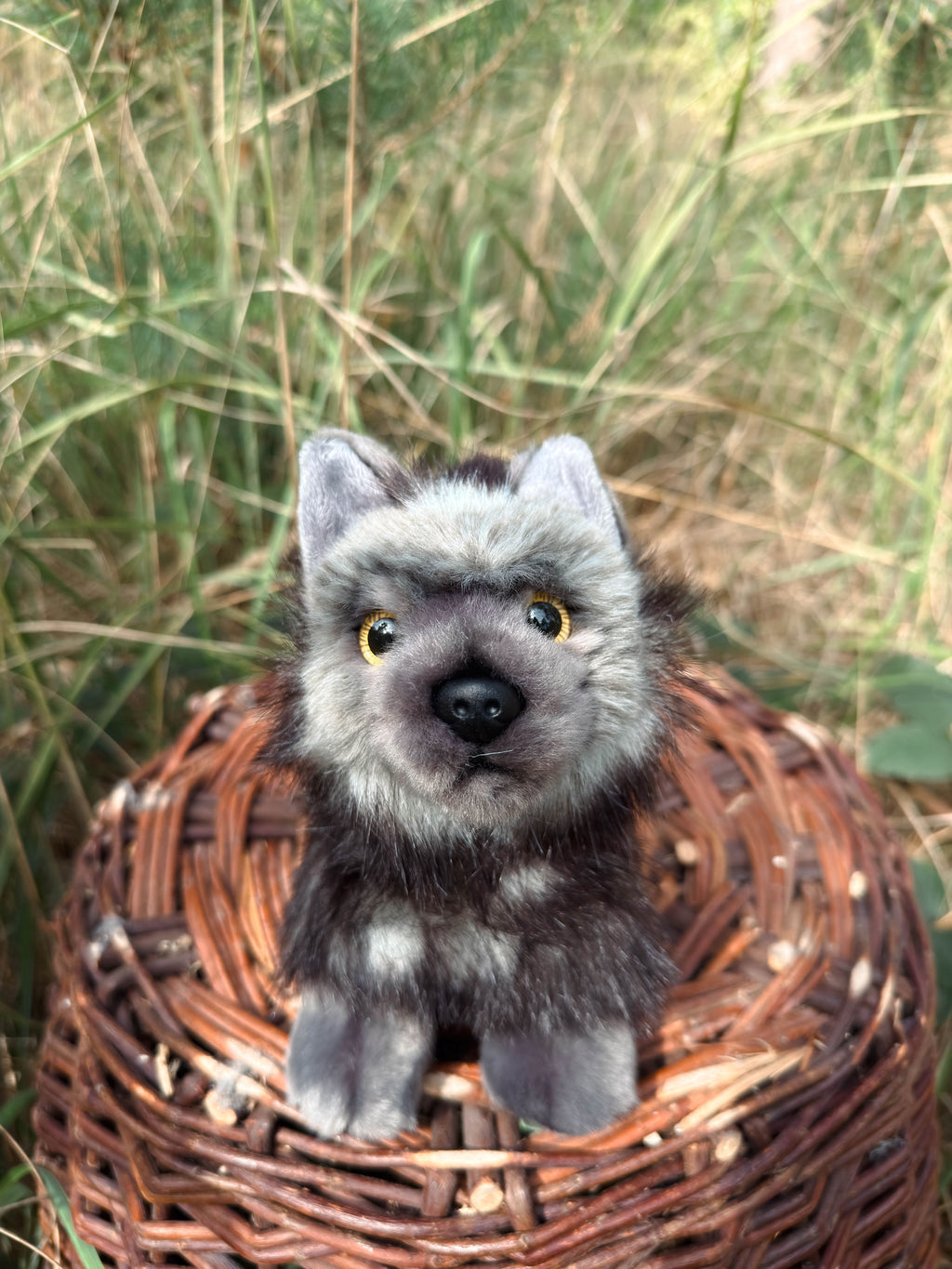 Der schwarze Wolf 20cm sitzend, der Herzen erobert