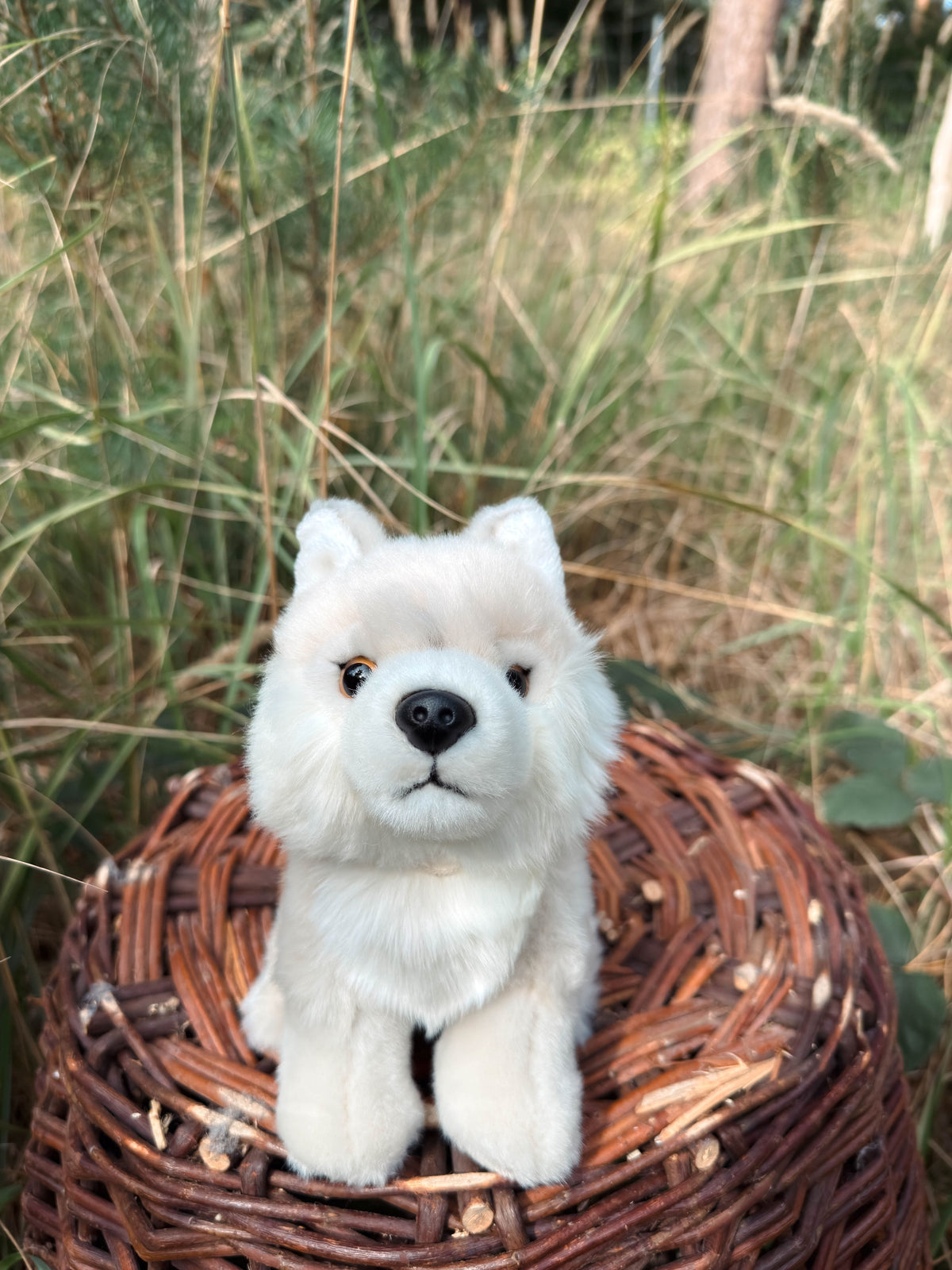 Der weiße Wolf 20cm sitzend, der Herzen erobert