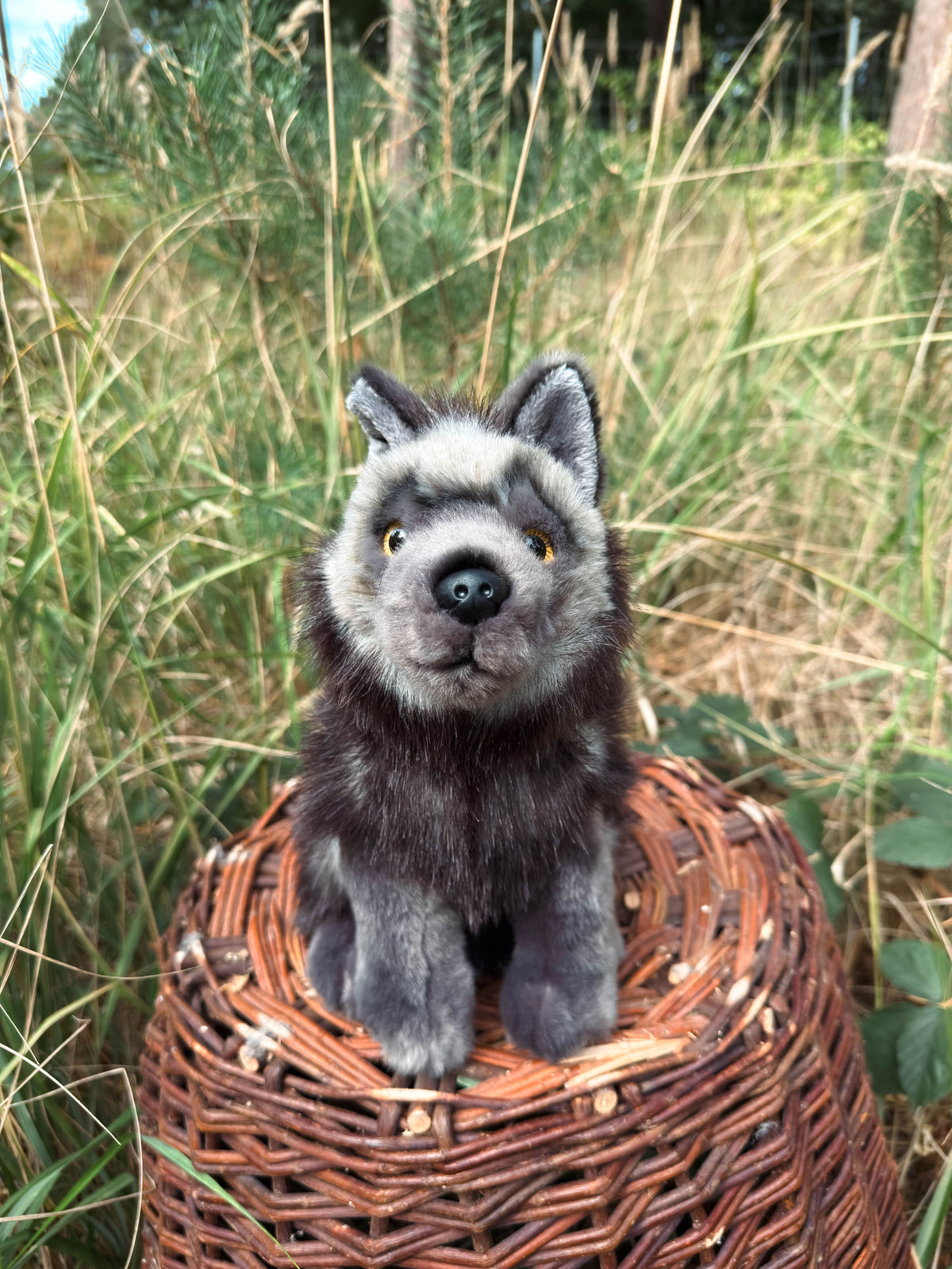Der schwarze Wolf 29cm sitzend, der Herzen erobert