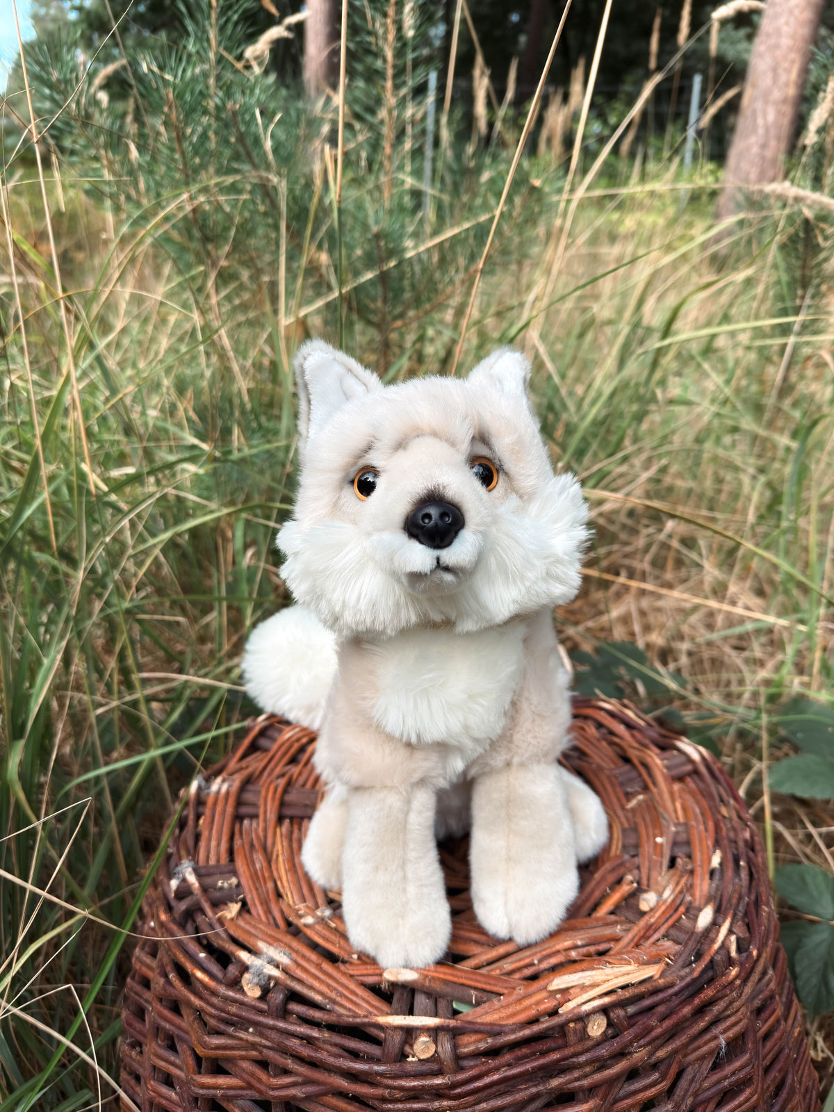 Der weiße Wolf 29cm sitzend, der Herzen erobert