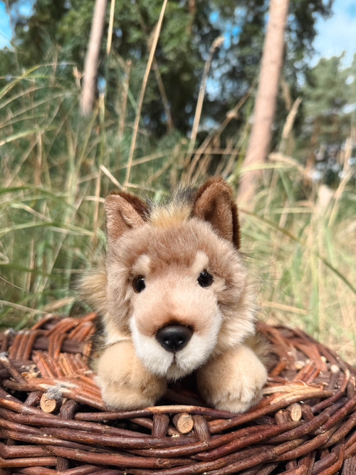 Der braune Wolf 24cm liegend, der Herzen erobert