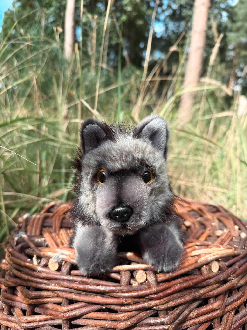 Der schwarze Wolf 24cm liegend, der Herzen erobert
