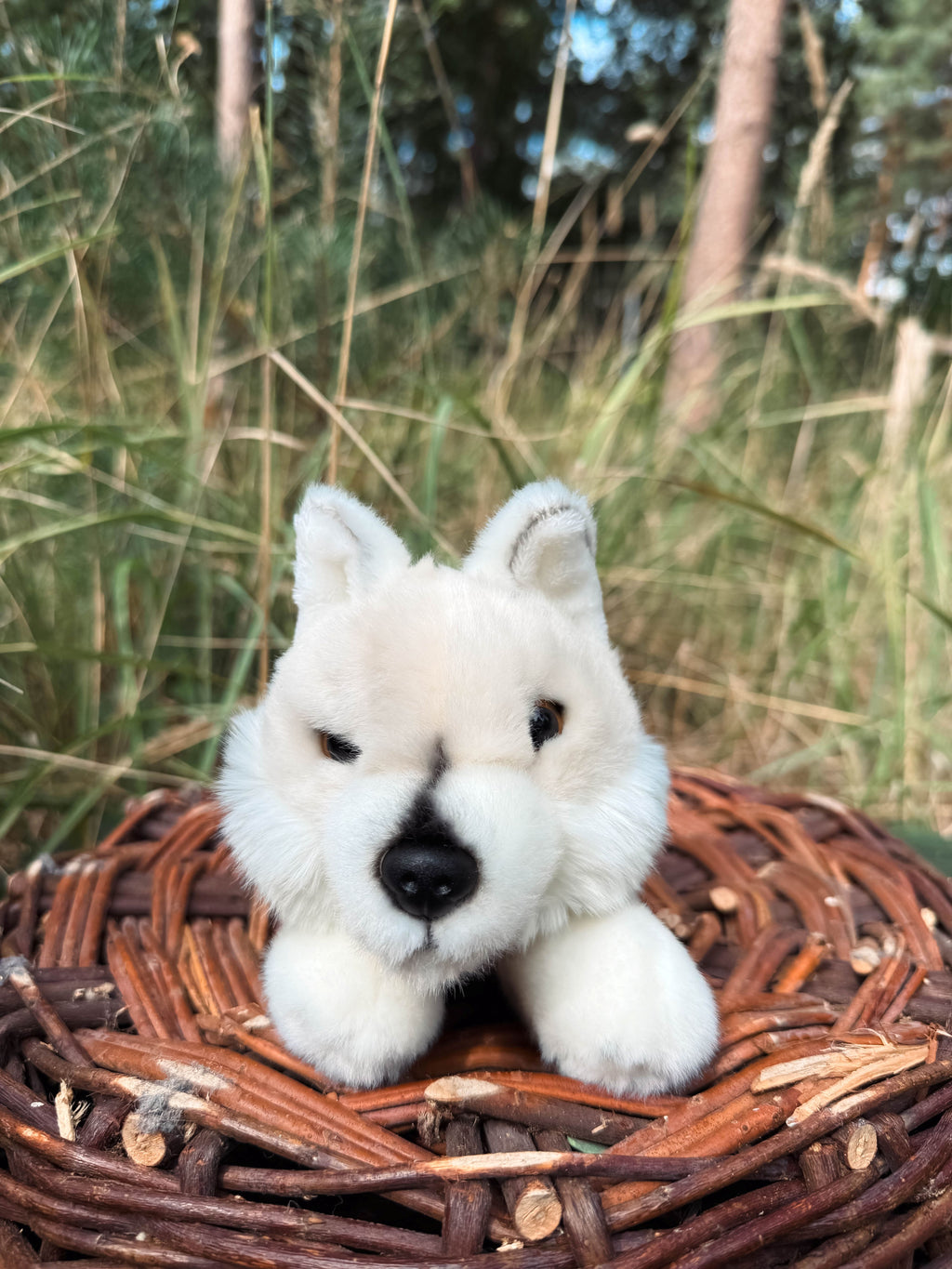 Der weiße Wolf 24cm liegend, der Herzen erobert